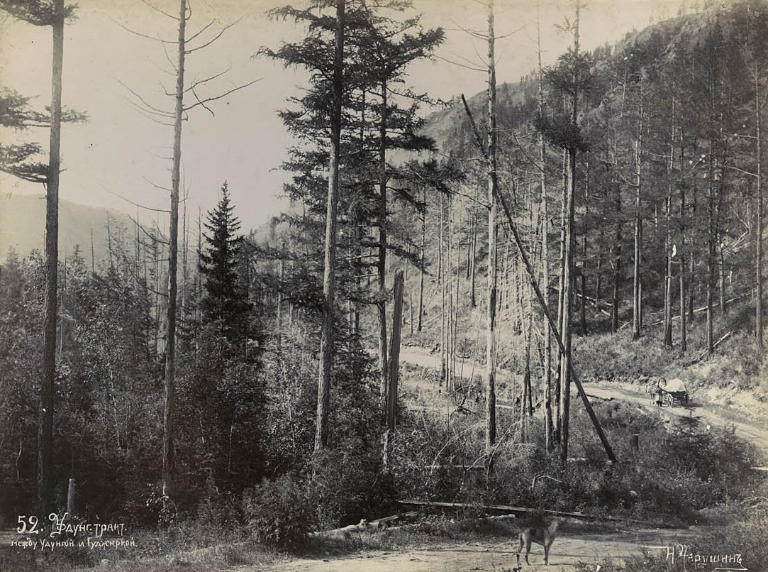 Сибирский тракт