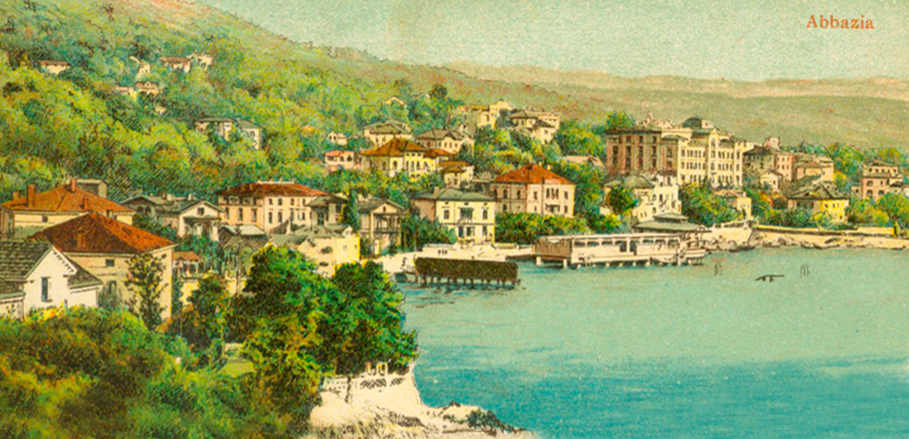 Виды Аббации